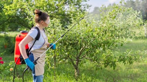Секреты борьбы с вредителями в огороде - эффективные методы и полезные советы для защиты ваших растений