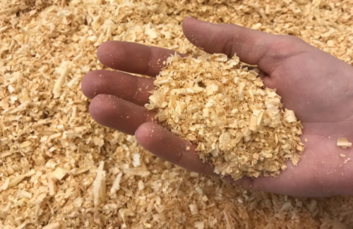 Почему древесные опилки - идеальный материал для использования в огороде осенью