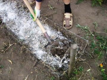 Доломитовая мука – универсальное средство для повышения урожайности на огороде