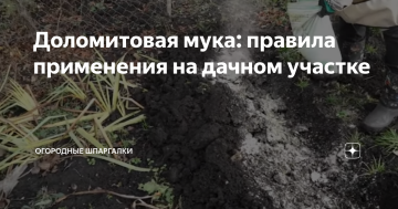 Почему использование доломитовой муки для огорода осенью — лучшее решение для растений и повышения урожайности