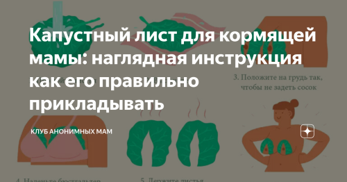 Для чего прикладывают к телу капустный лист - ответы и преимущества