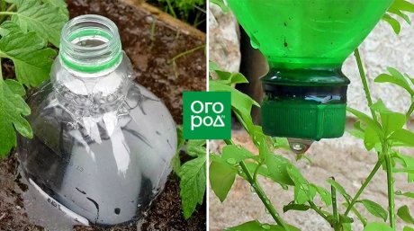 10 креативных способов использования пластиковых бутылок на своем огороде, которые помогут сохранить природу и сделать вашу жизнь проще!