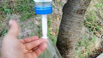 10 креативных способов использования пластиковых бутылок на своем огороде, которые помогут сохранить природу и сделать вашу жизнь проще!