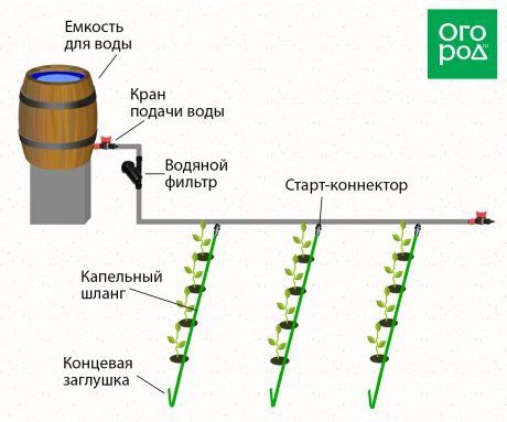 Делаем капельный полив для огорода своими руками - простые и эффективные способы