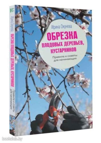 Полезные советы и правила обрезки садовых растений для начинающих садоводов