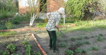 Разнообразные виды работ в огороде - садоводство, огородничество и уход за растениями для достижения высоких урожаев