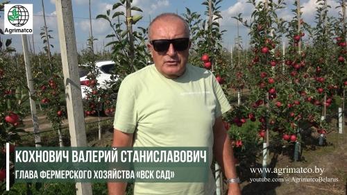 Обзор садовых тракторов Беларусь лучший выбор для вашего сада