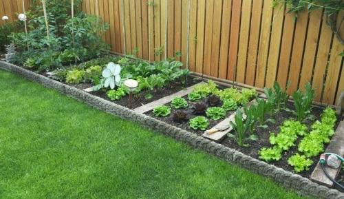 4 популярных варианта огородов для садоводов - выбирайте лучший для вашего участка