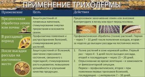 Биологические средства защиты растений - эффективные методы и преимущества для садоводов и фермеров