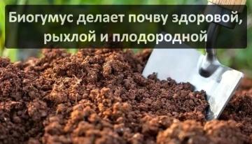 Биогумус сухой для огорода - универсальное решение для процветания растений и экологического земледелия