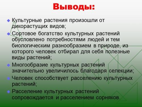 Виды культурных растений: разнообразие и особенности выбора