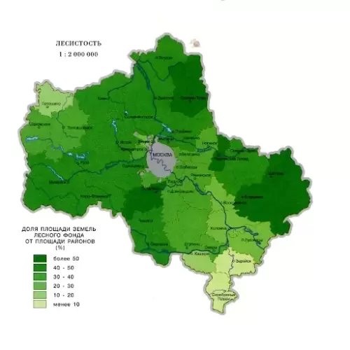 В каком районе выбрать дачу? Где лучше покупать участки под загородный дом