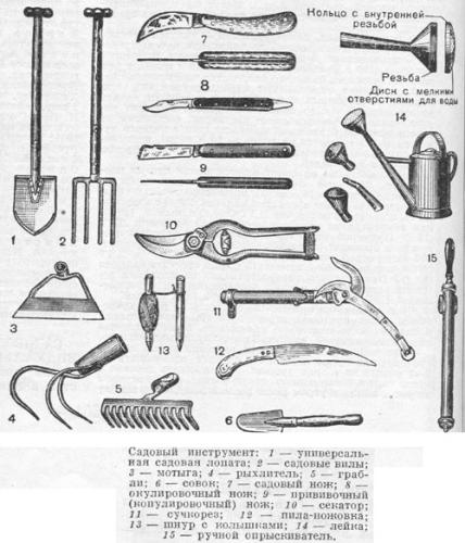 Названия садовых инструментов - как правильно называть основные садовые инструменты для успешной работе в саду?