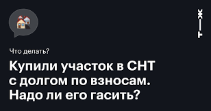 Может ли председатель садоводческого некоммерческого товарищества продавать заброшенные участки - юридический аспект вопроса