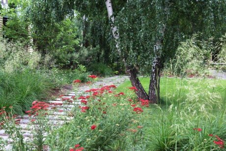 Малоуходный сад - советы по ландшафтному дизайну для создания прекрасного и легкого в уходе уголка природы