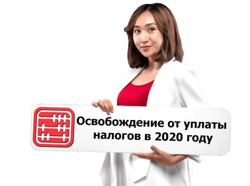 Кто имеет право на освобождение от уплаты налога на имущество - кто может не платить налог и почему