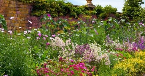 Создайте красивые клумбы из многолетних цветов с готовыми схемами - ваш сад превратится в настоящий цветущий рай!