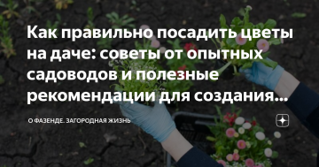 Как выбрать и посадить цветы на даче - полезные советы и рекомендации для успешного озеленения вашего участка