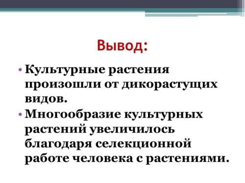 Культурные растения - богатство видов и многообразие применения