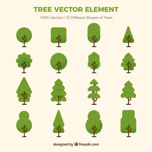 Разнообразие видов деревьев - узнайте особенности каждого из них