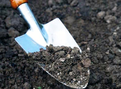 Как определить тип почвы на садовом участке - простые способы и инструменты