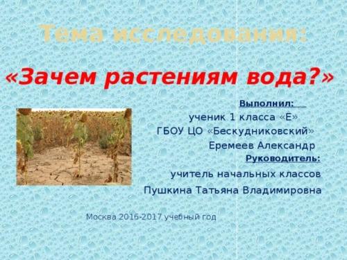 Зачем растениям необходима вода и как ее наличие влияет на их процесс роста и развития