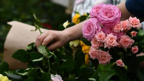 Как выбрать правильный грунт для розы садовой - советы и рекомендации