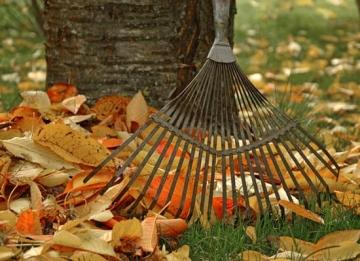 Грабли веерные с компенсатором - эффективный инструмент для уборки сухих и мокрых листьев