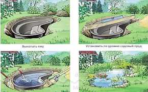 Искусственный водоем (пруд)