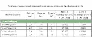 Теплица по Митлайдеру