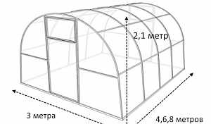 Каркас теплица Усиленная 20 шир 3м длина 4м