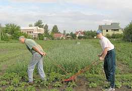 Плуг культиватор в хорошем состоянии