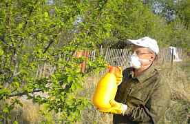 Алатар. Средство для борьбы с насекомыми и вредите